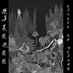 Circle Of Beings : Silence Circle Of Beings : Silence